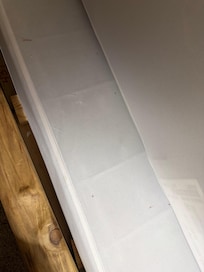 Bed bug stains/blood