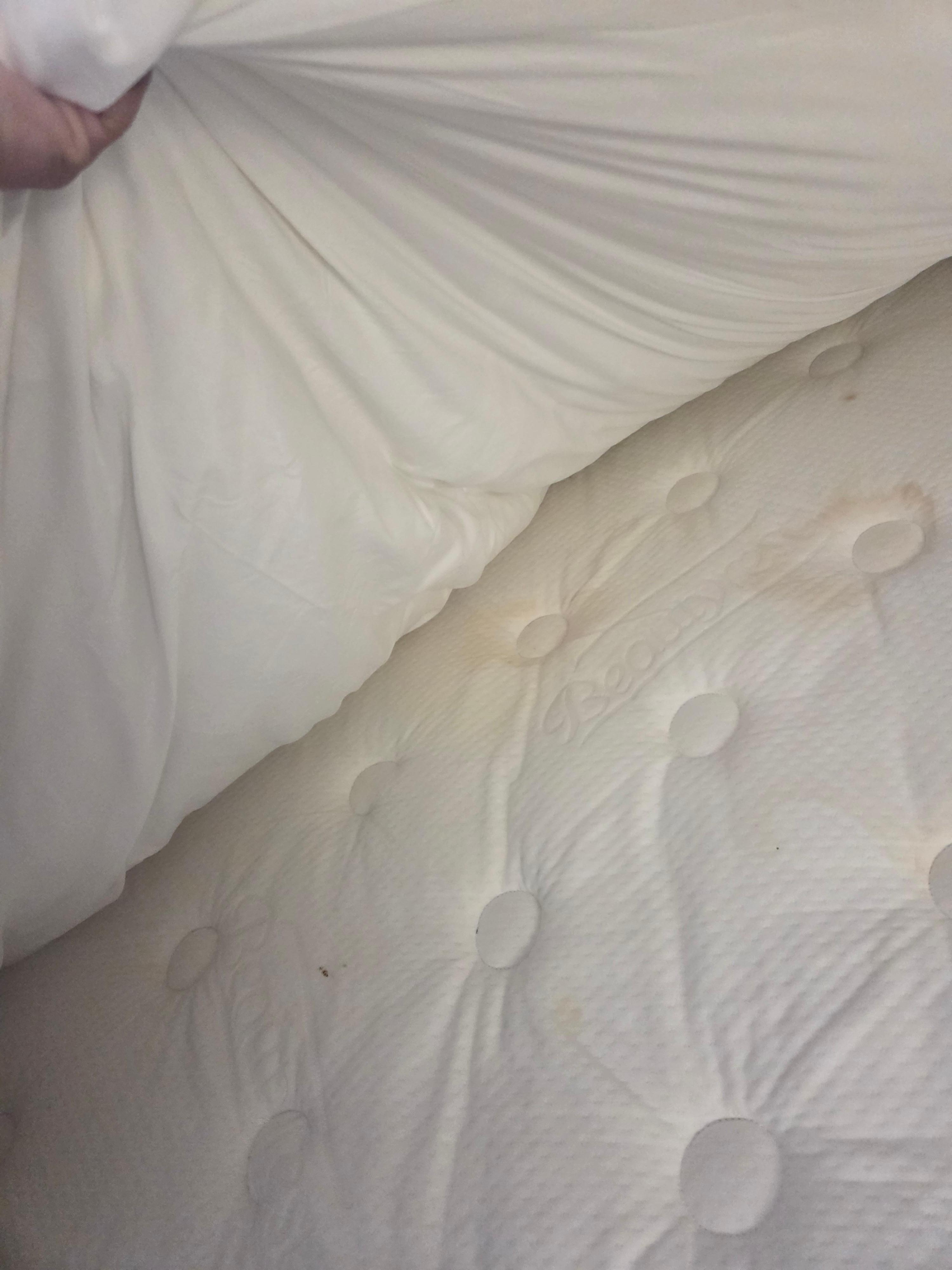 The mattress was stained (across the bed) and there was a stained spot on my sheet. 