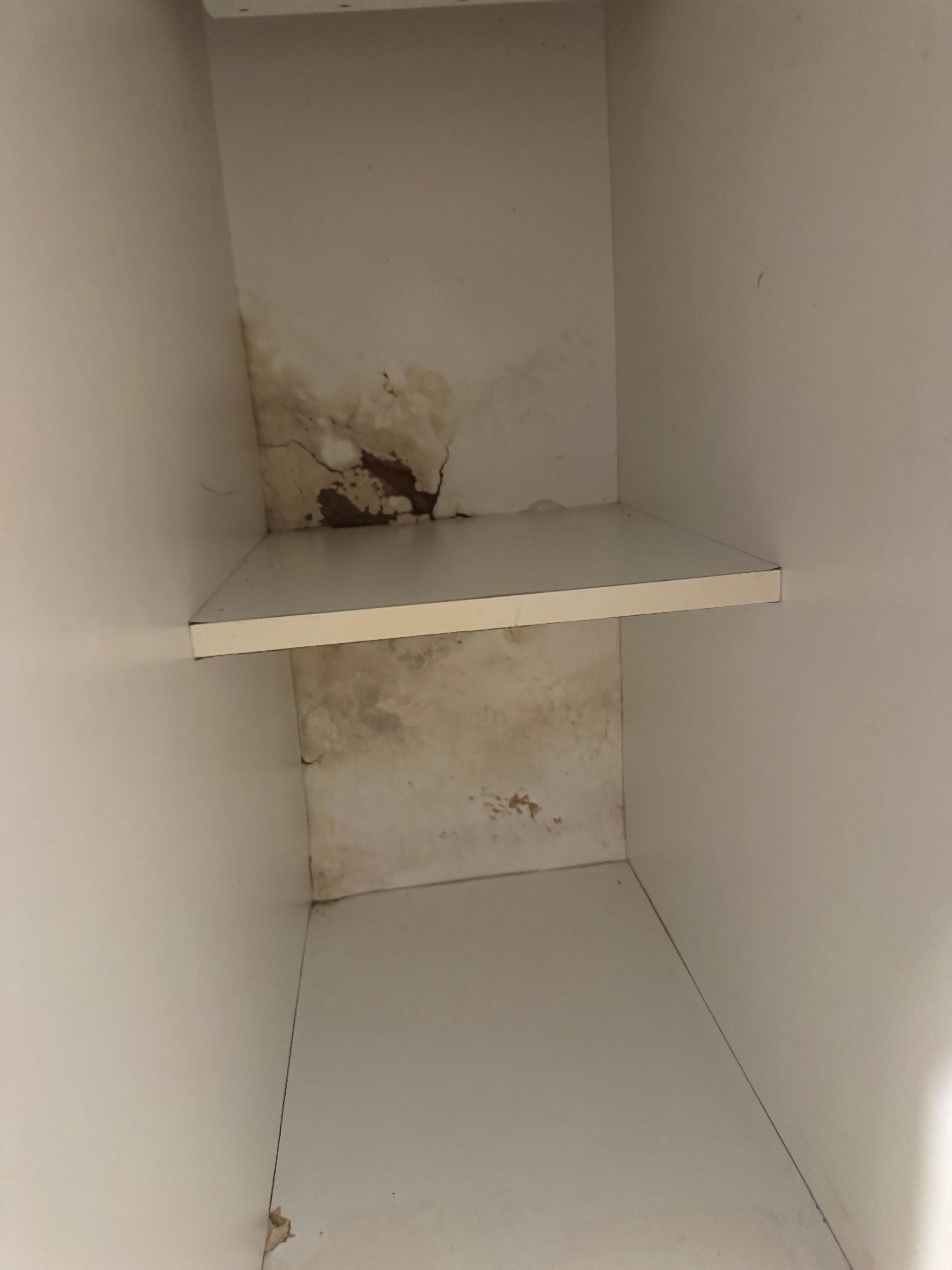 black mold in the cabinet 