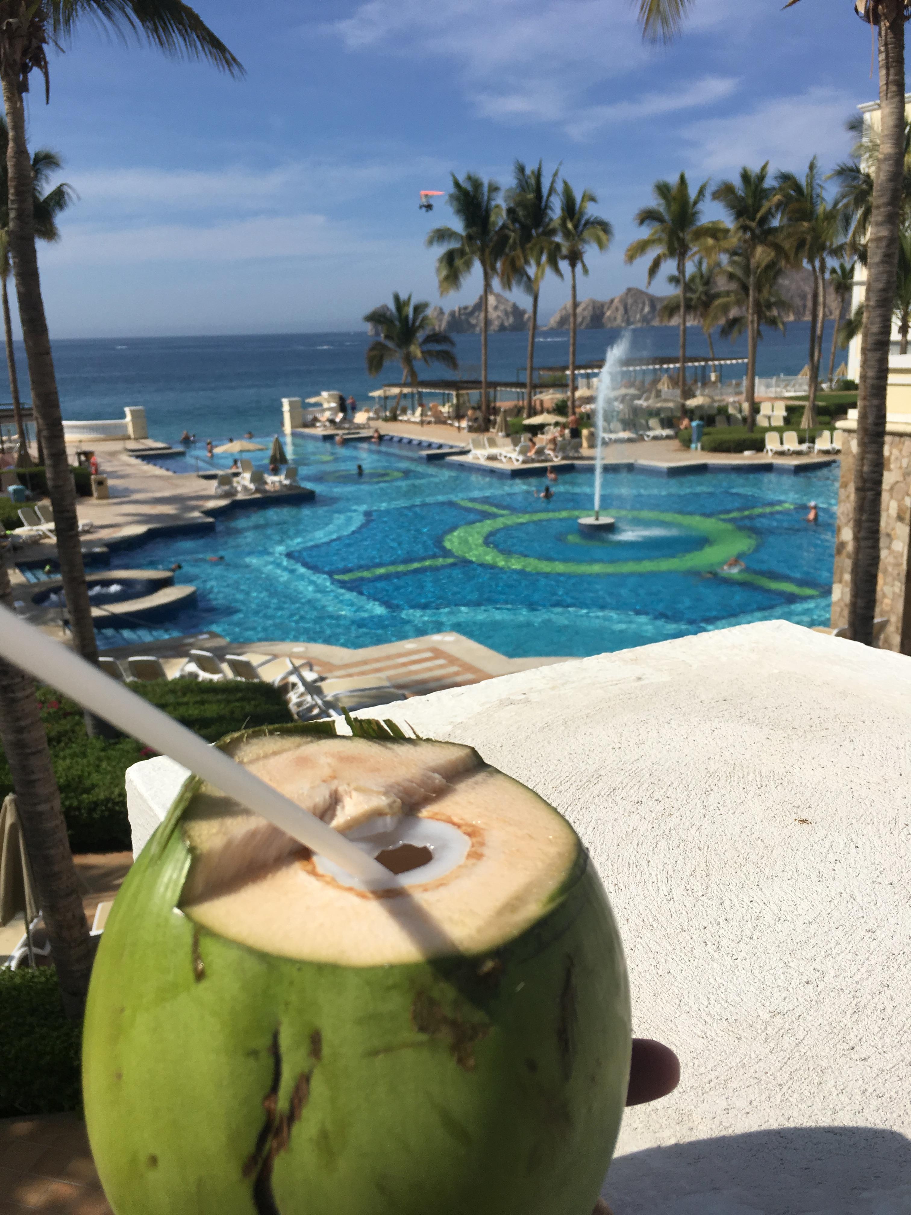 Enjoying fresh coconut and view !