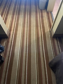 Dirty Carpet that smells horrible. I told my kids to wear their shoes around the room.