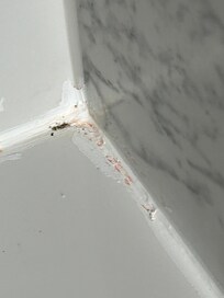 Mould around bath