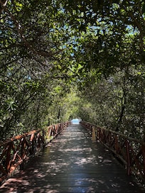 Walkway to the beach