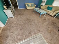 Living room carpet stains