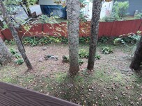 Fenced in front yard