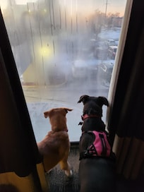 Wondering who all the strangers are down below