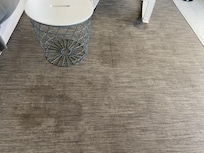 Carpet in the living room