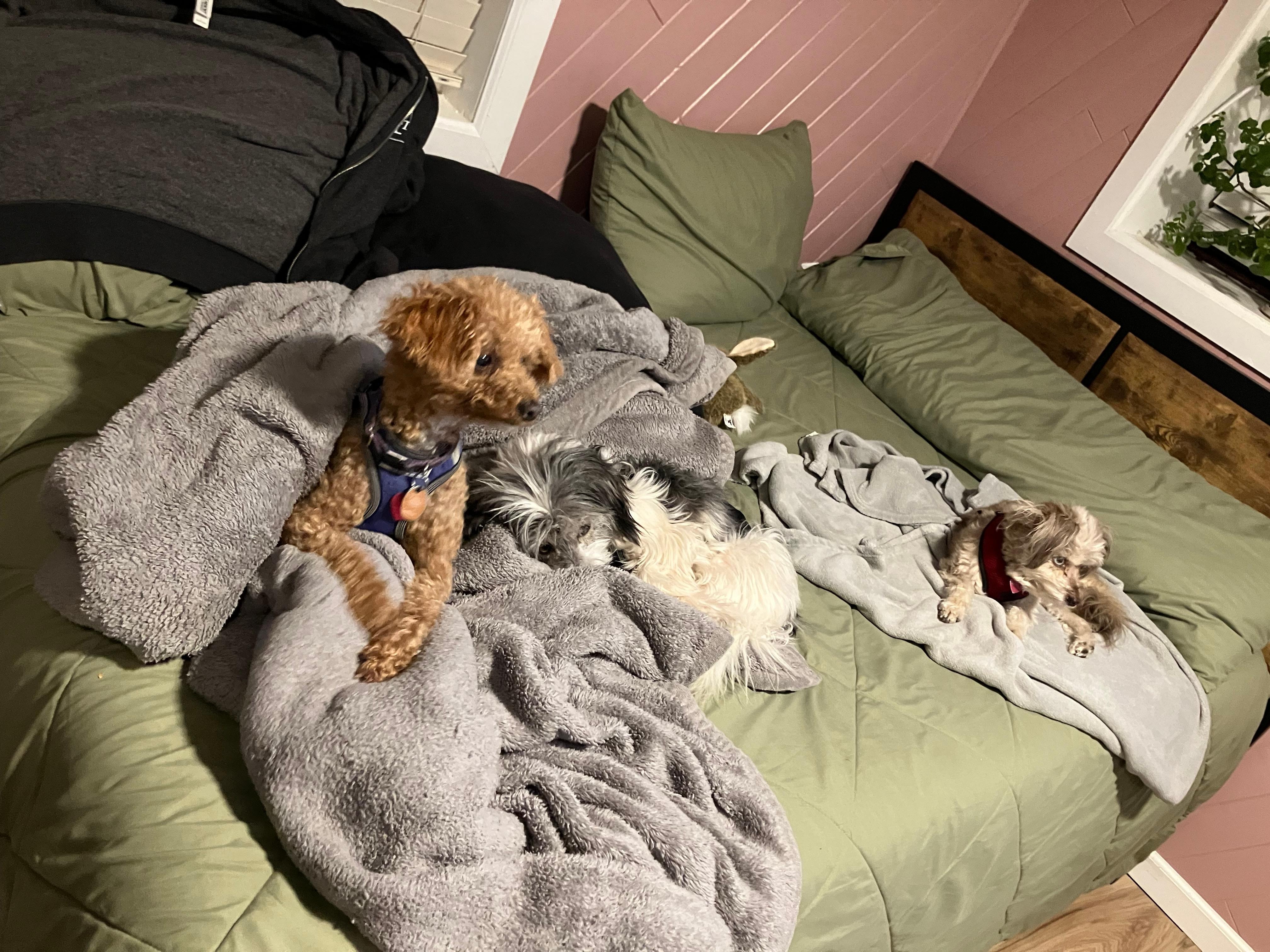 Resting and watching tv