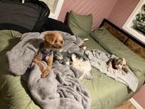 Resting and watching tv