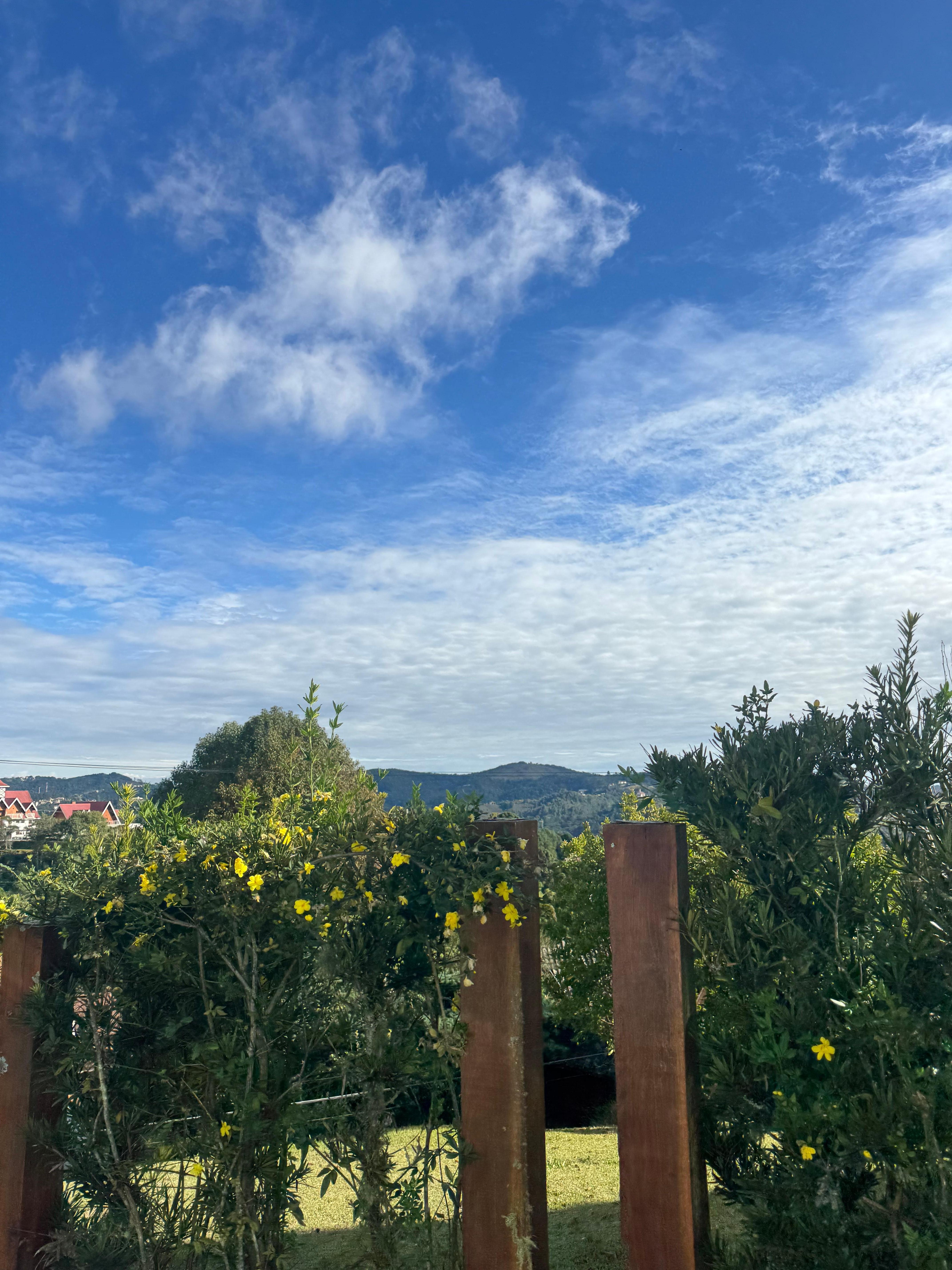 Paisagem 