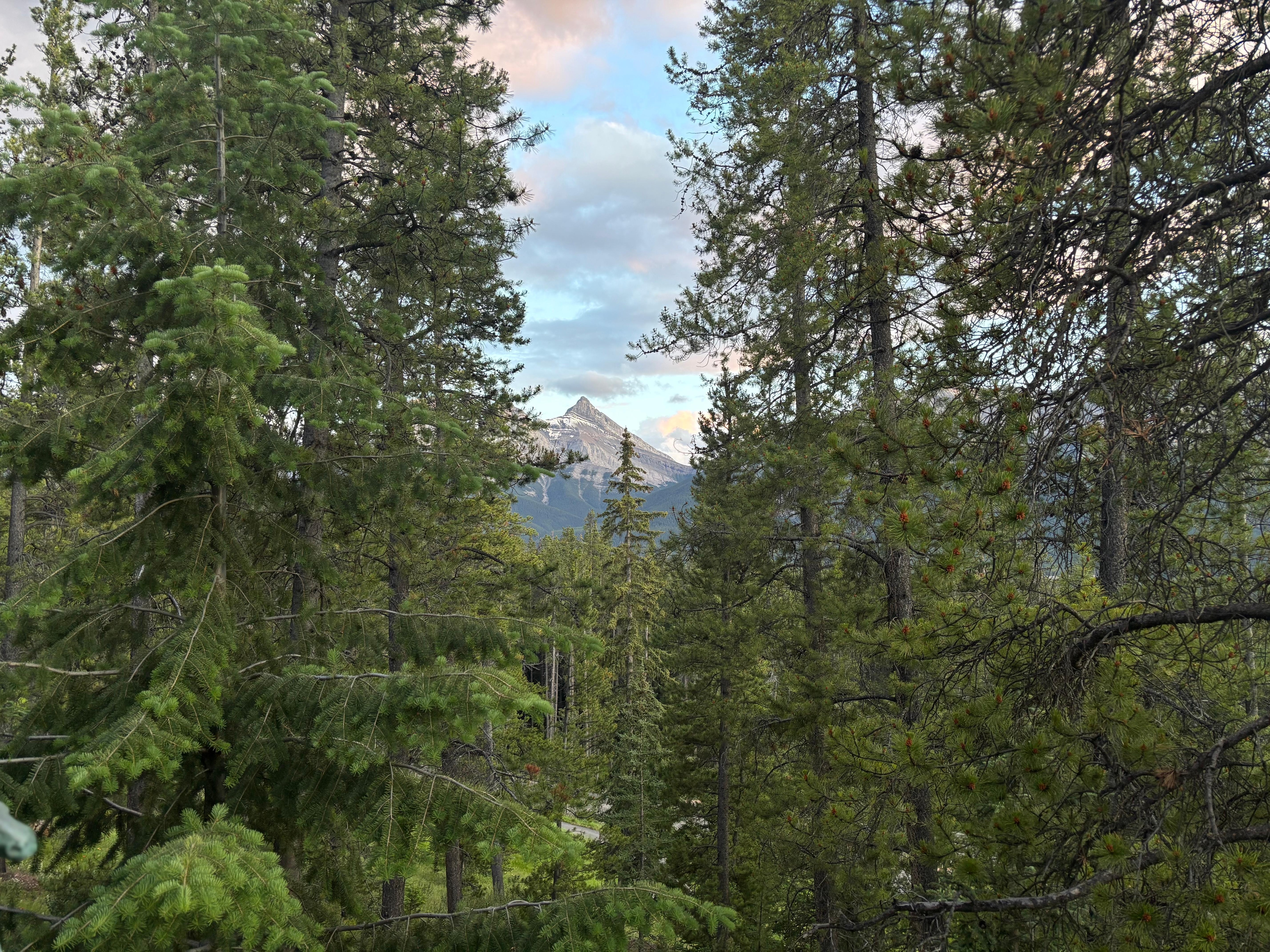 Views from the living room at sunset. 