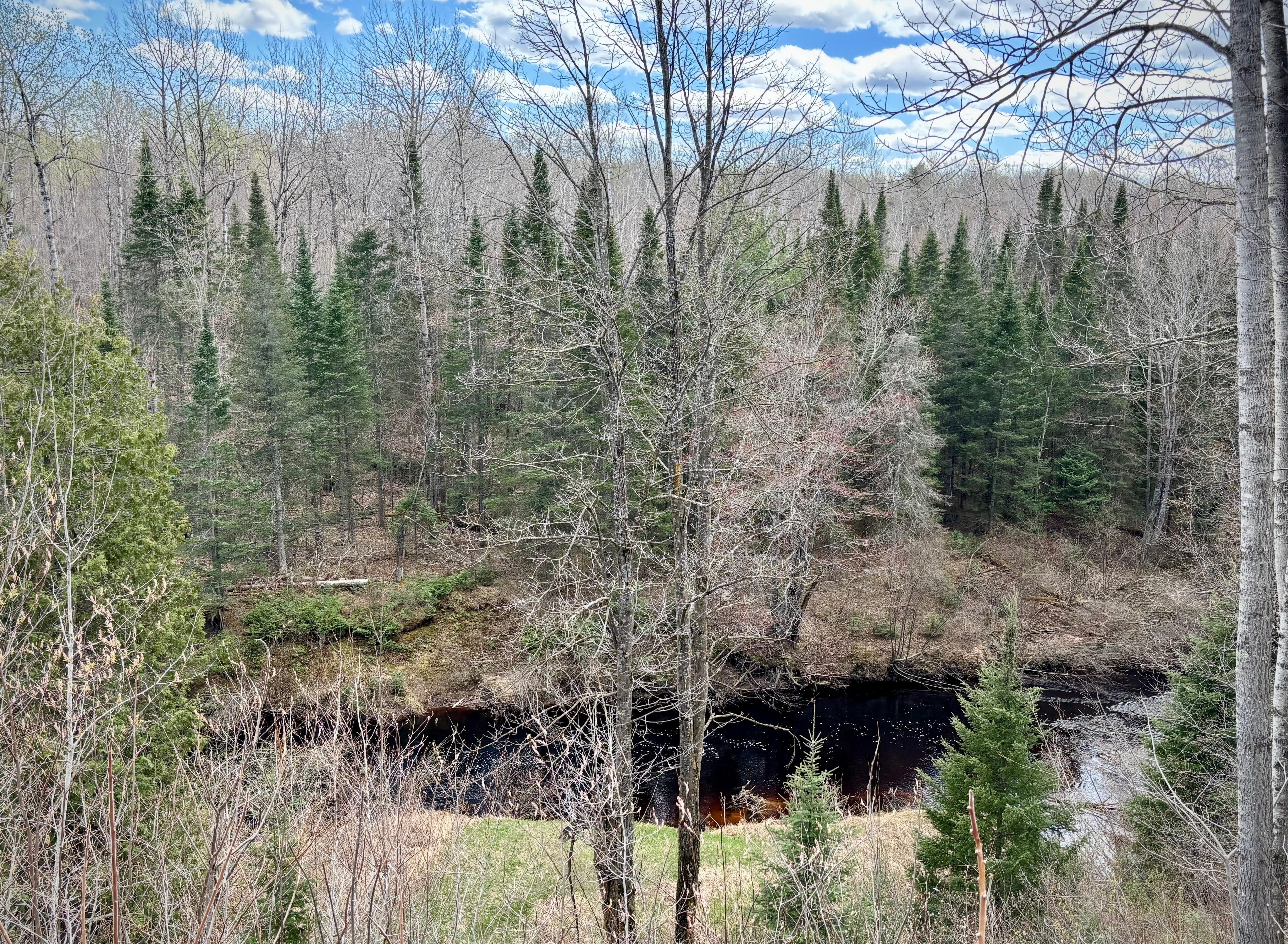 View from the deck