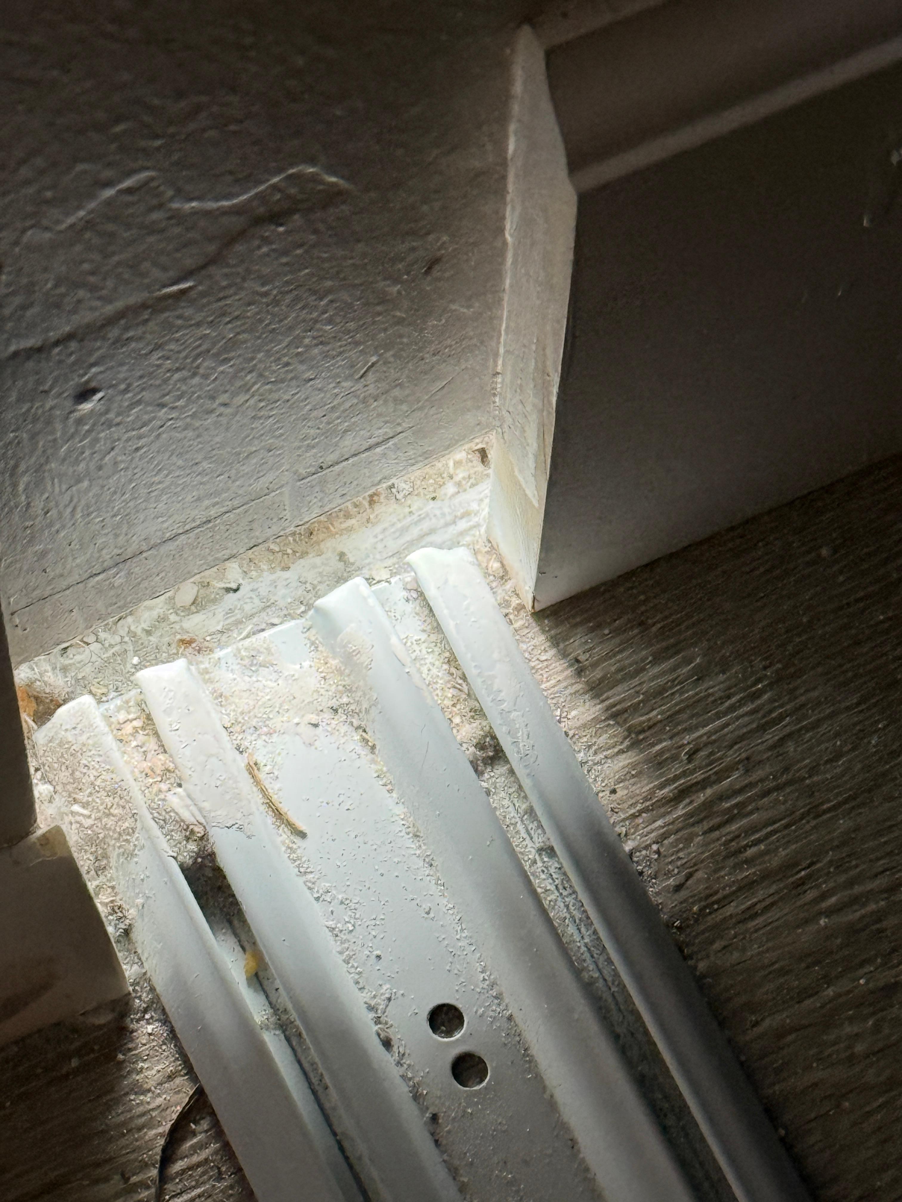 Bottoms of closet which was not sealed so outside light (and creatures) entered