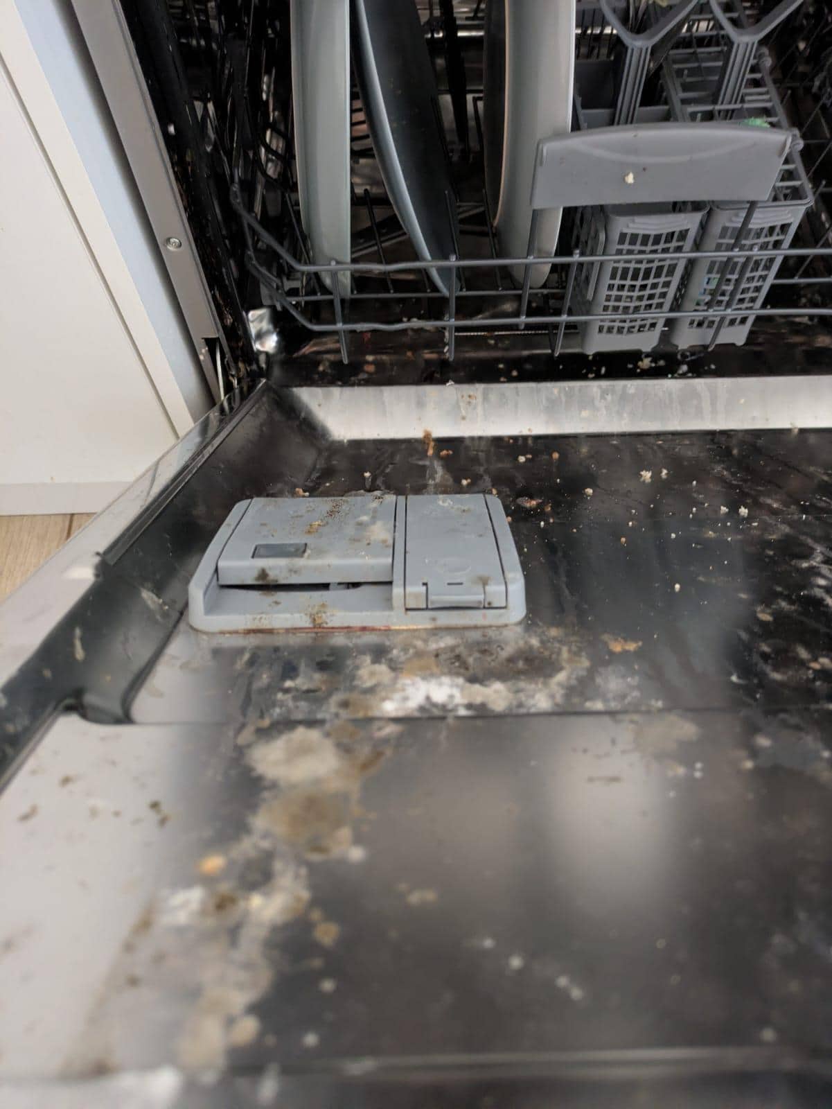 Mould in dishwasher 
