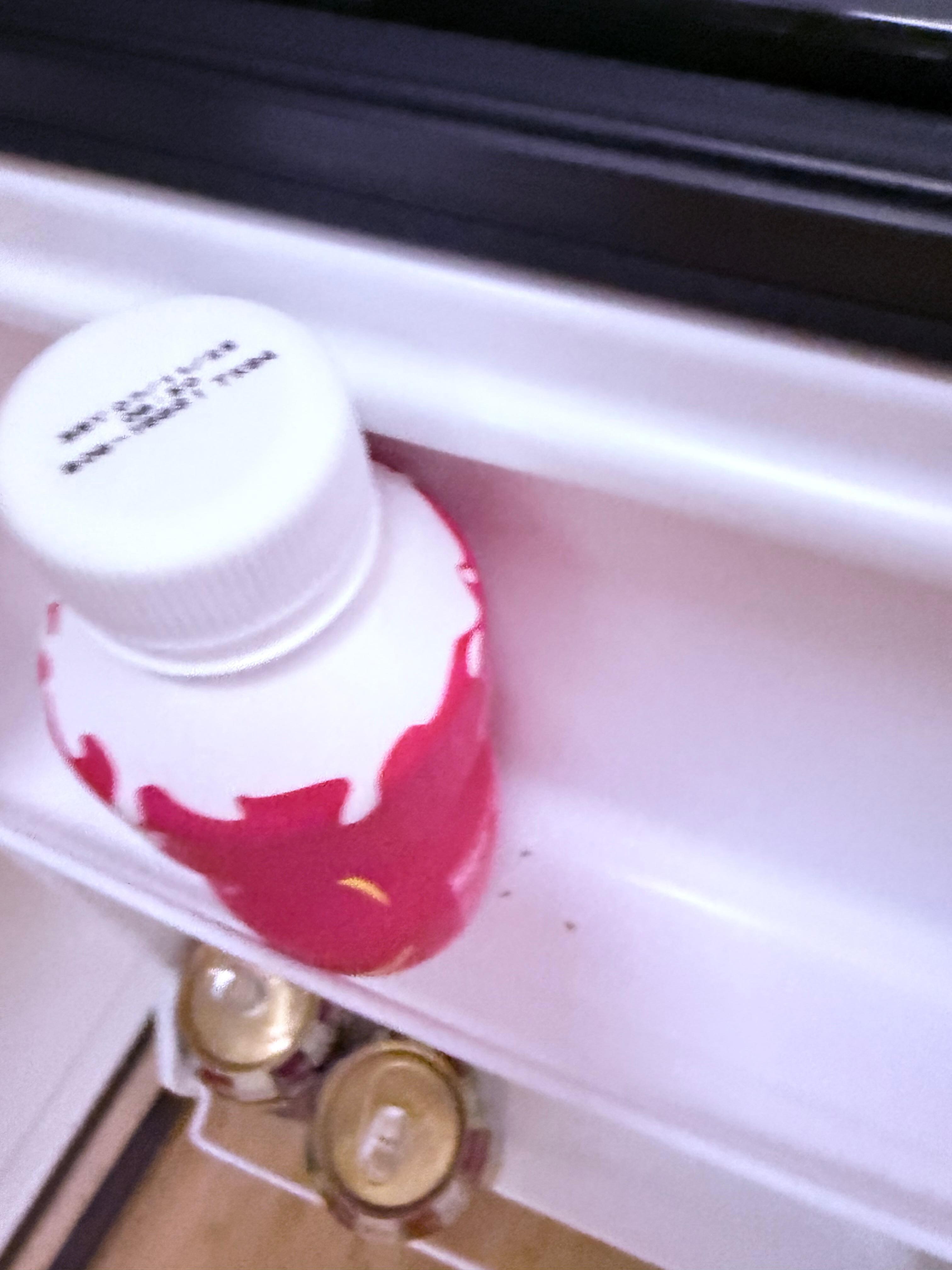 The ants were not going. They were just hiding here with my milk in the refrigerator.