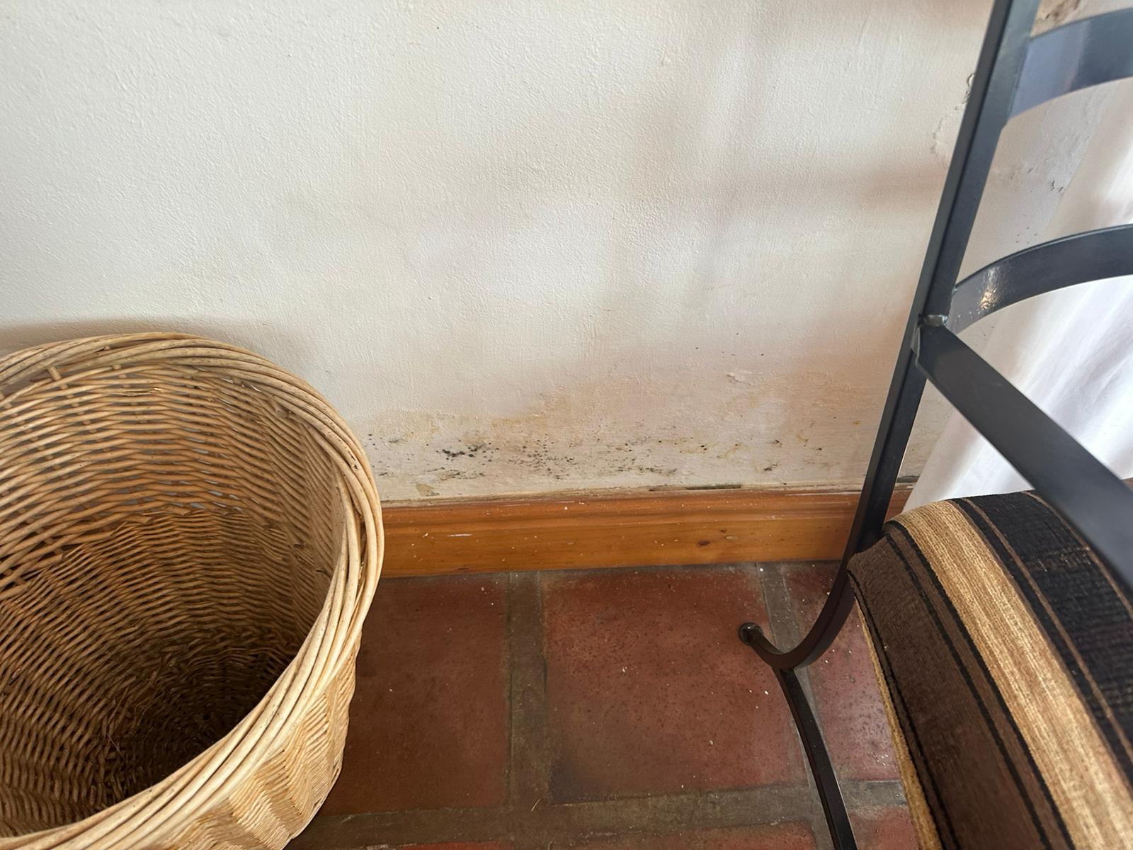 mold on the walls