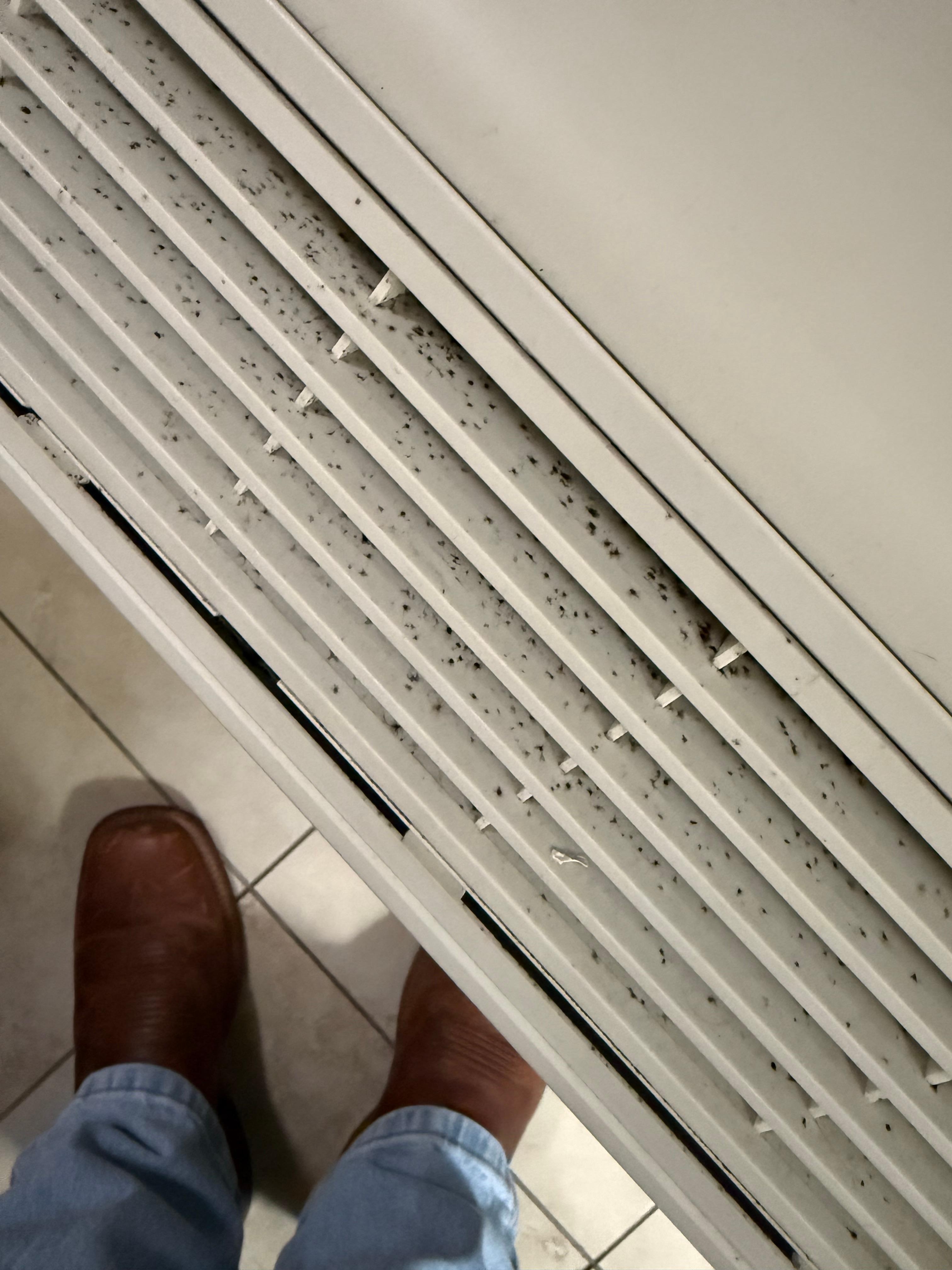 Mold in the room ac unit 