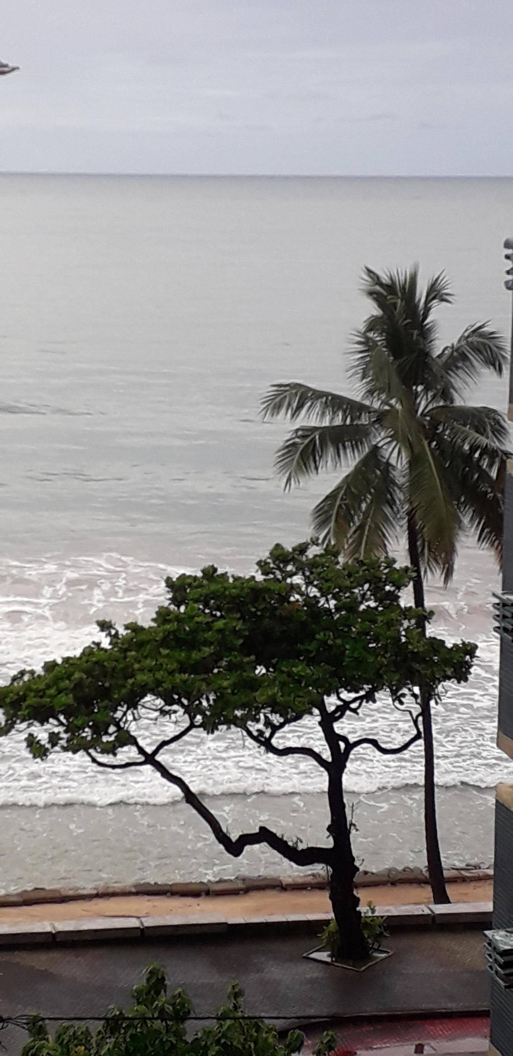 Vista da janela 