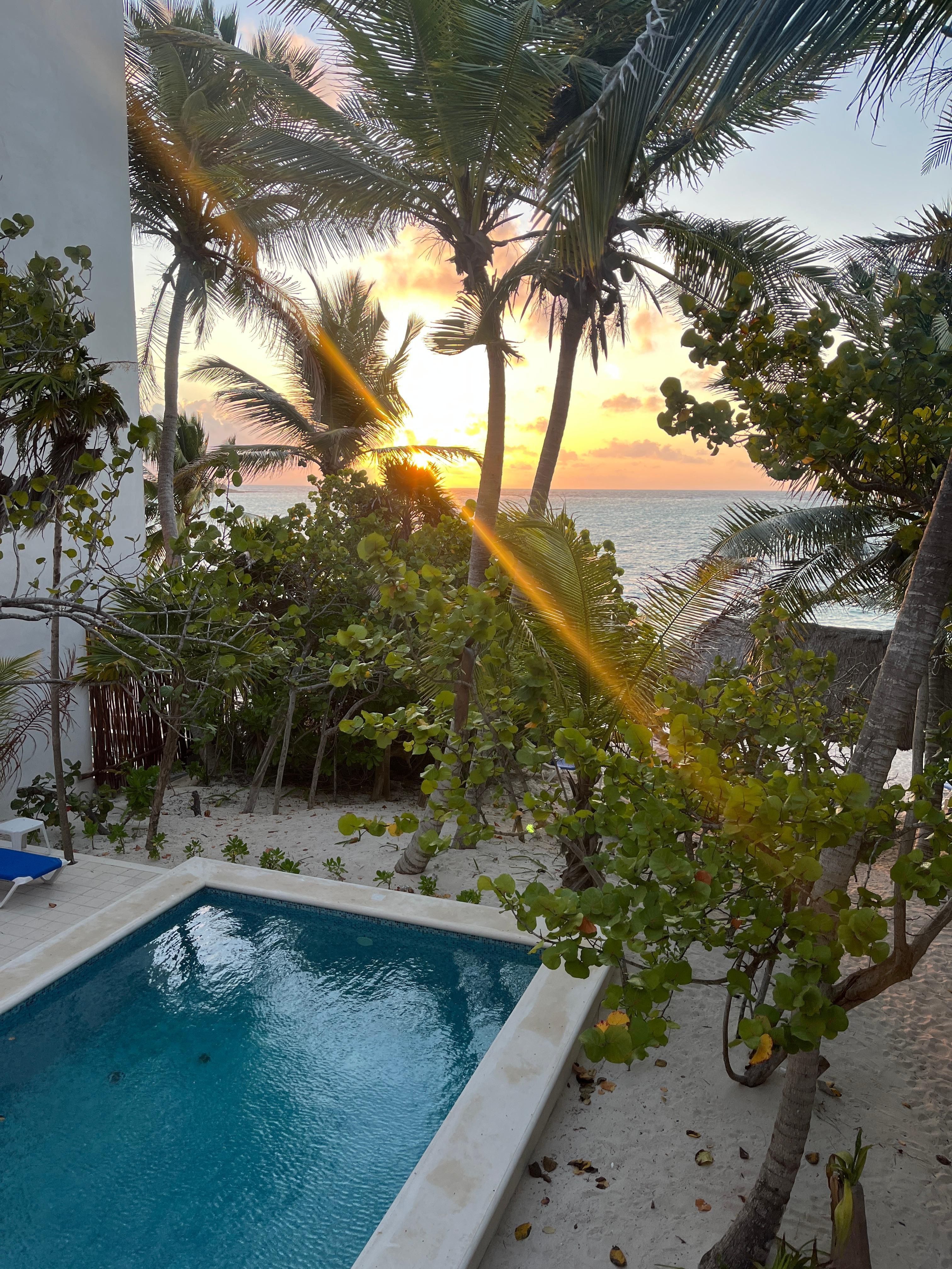 Looking out from 2nd floor at sunrise.