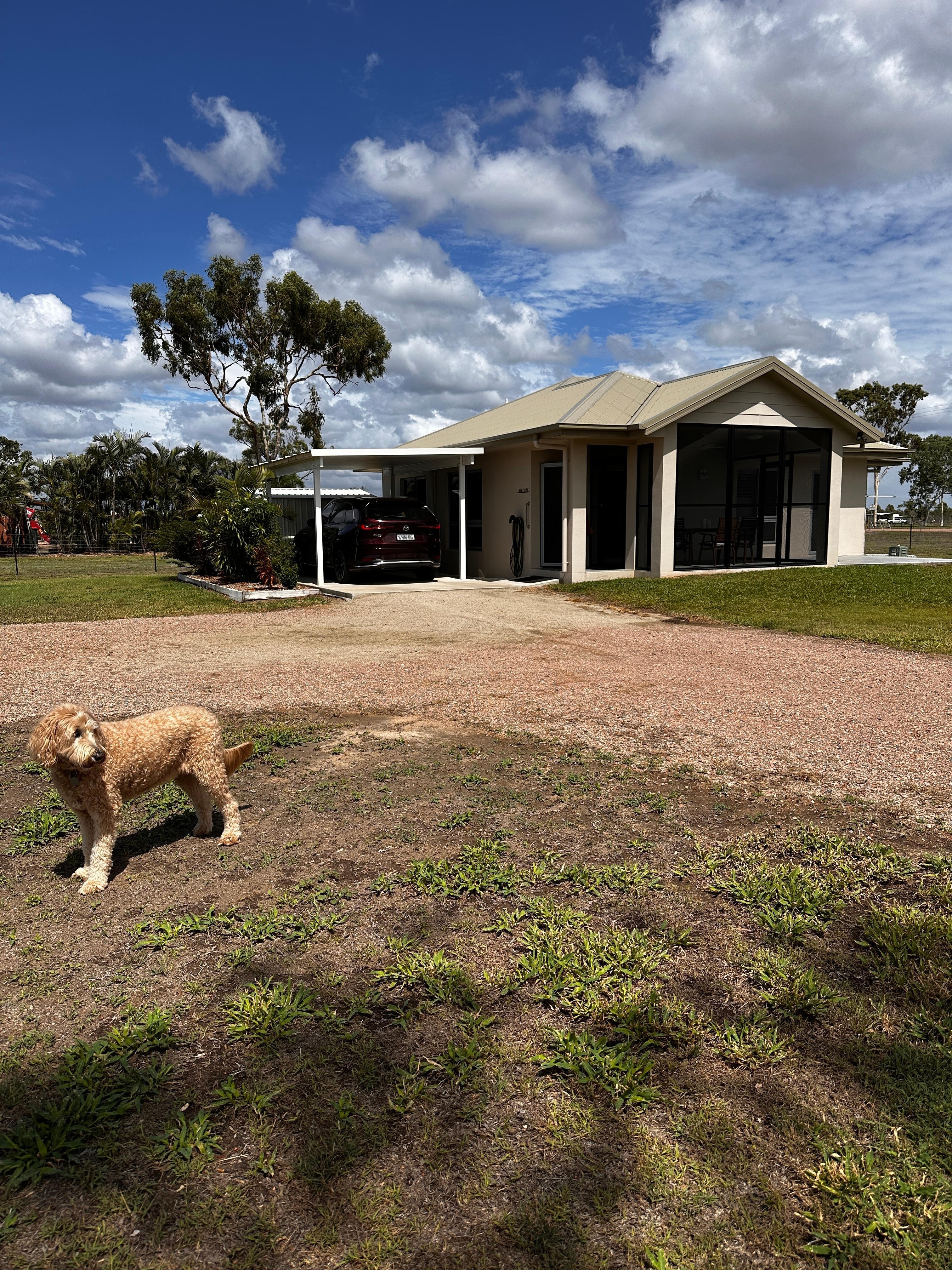 Undercover for car and accommodates our  baby honey