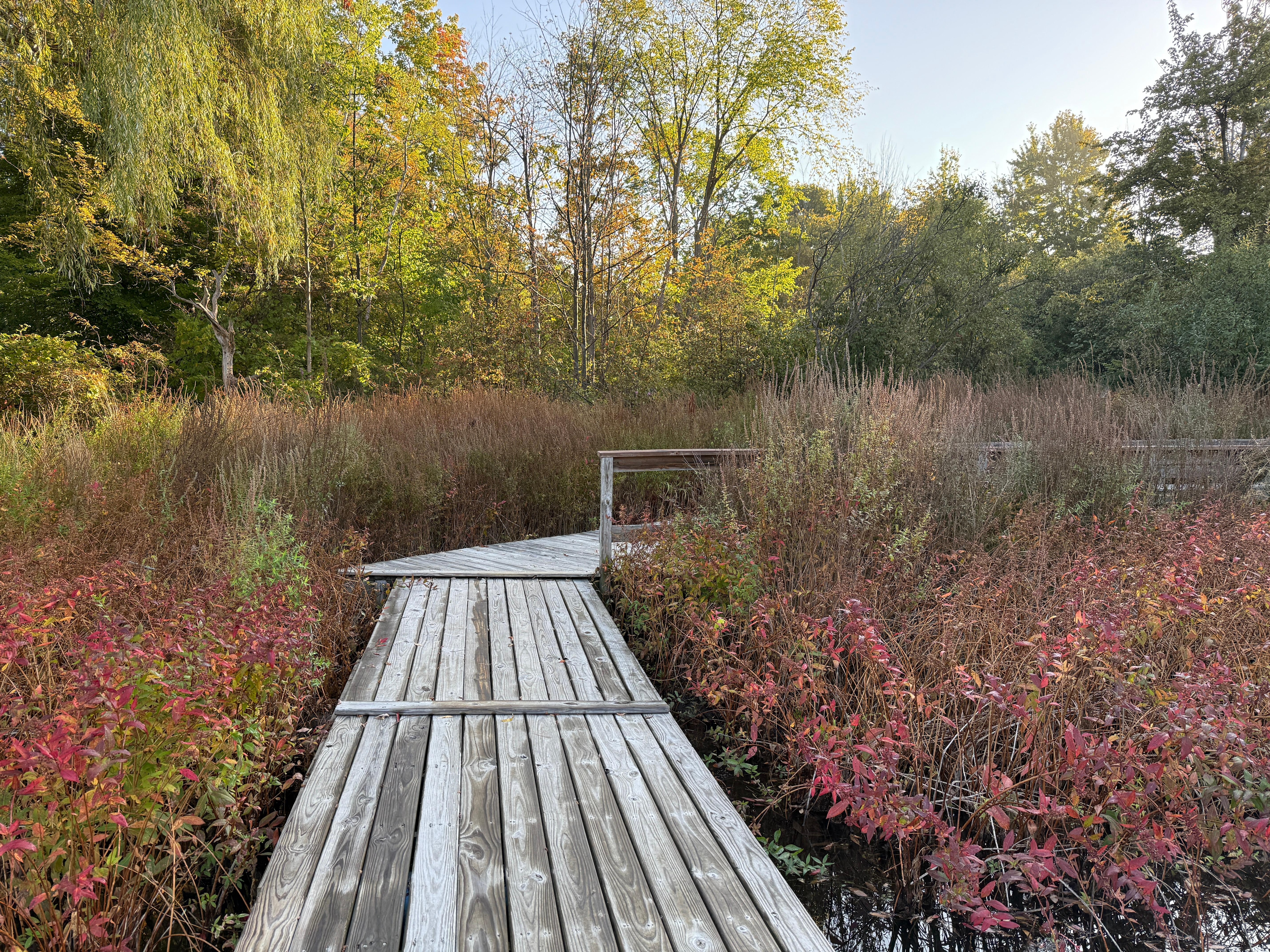 Walkway to lake.