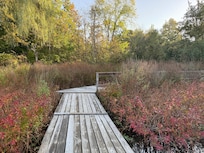 Walkway to lake.