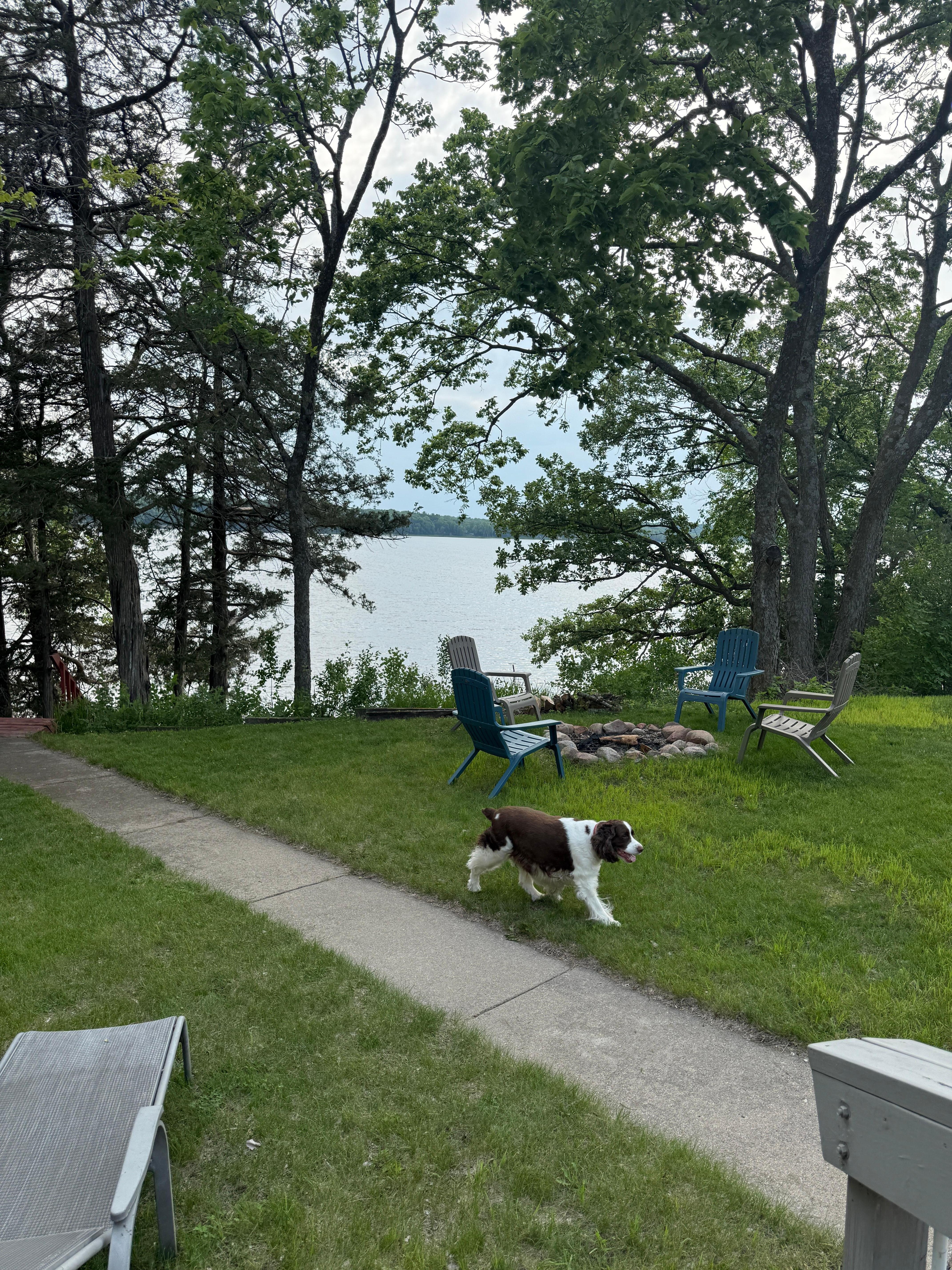 Backyard view of lake