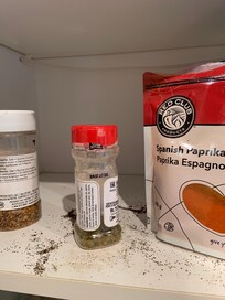 Mouse droppings through the kitchen