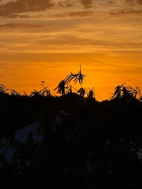 Sunset over the horizon