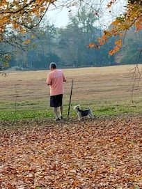 The dog walking with her uncle