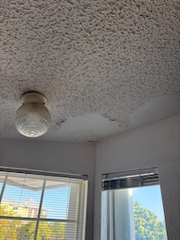 Kitchen Ceiling