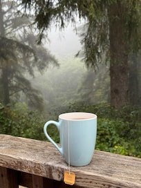 Morning tea while on the back deck was such a peaceful experience.