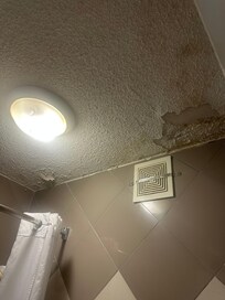 Bathroom ceiling