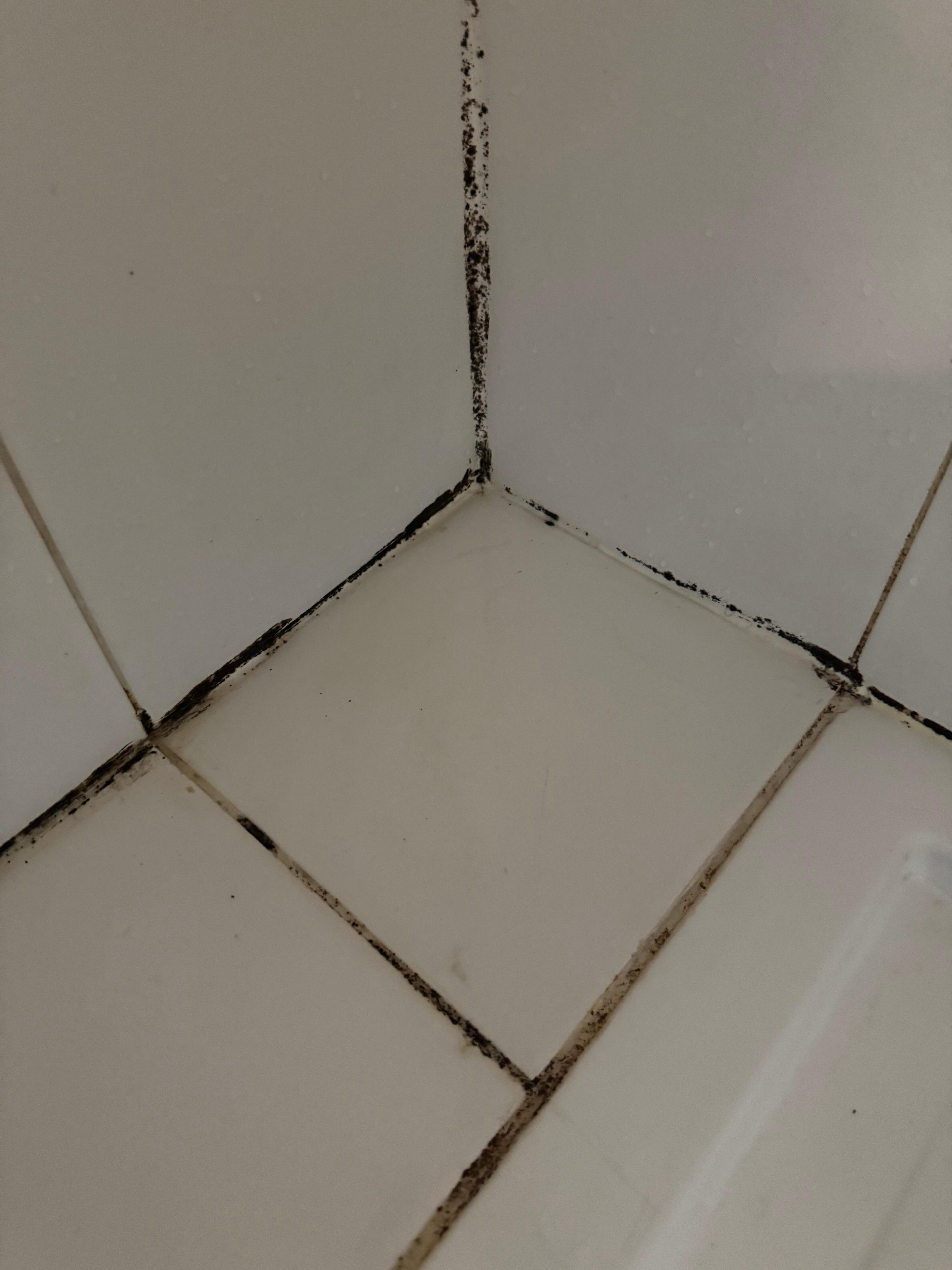 Moody tiles in the shower