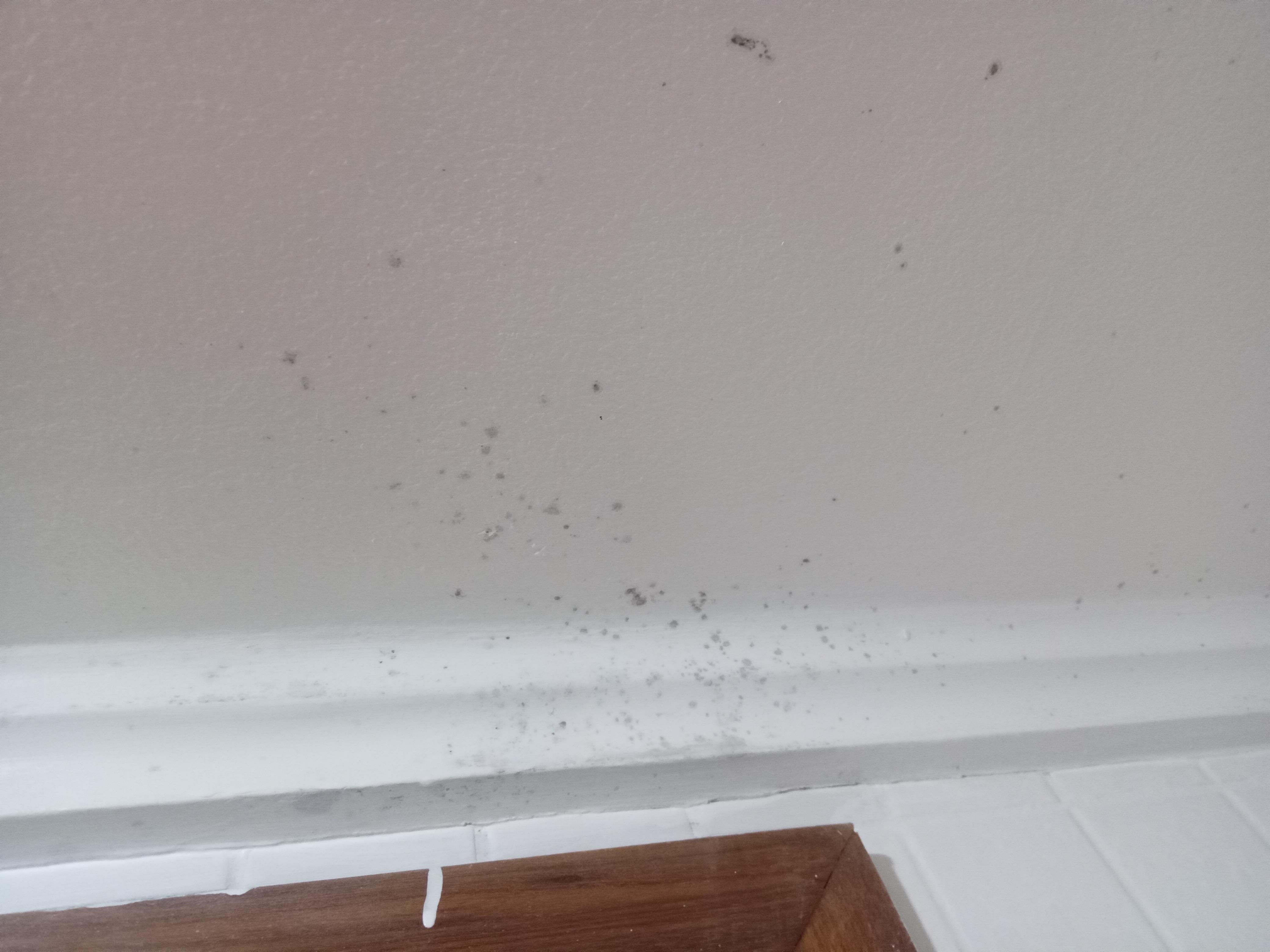 Teto do banheiro com mofo