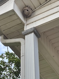 Wasp nest in corner of porch