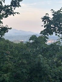 Roof top view