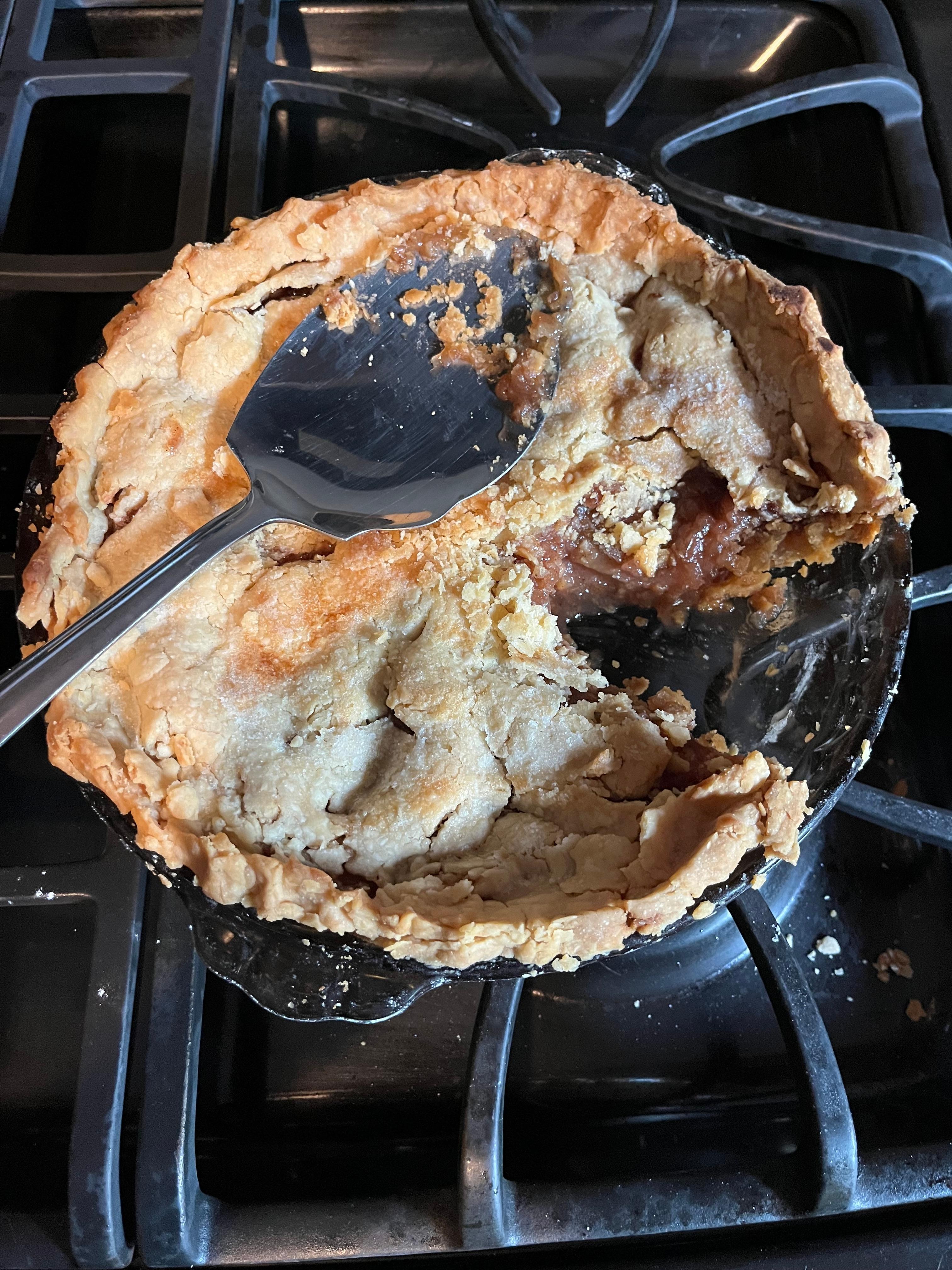 Delicious apple pie from apples we brought home!