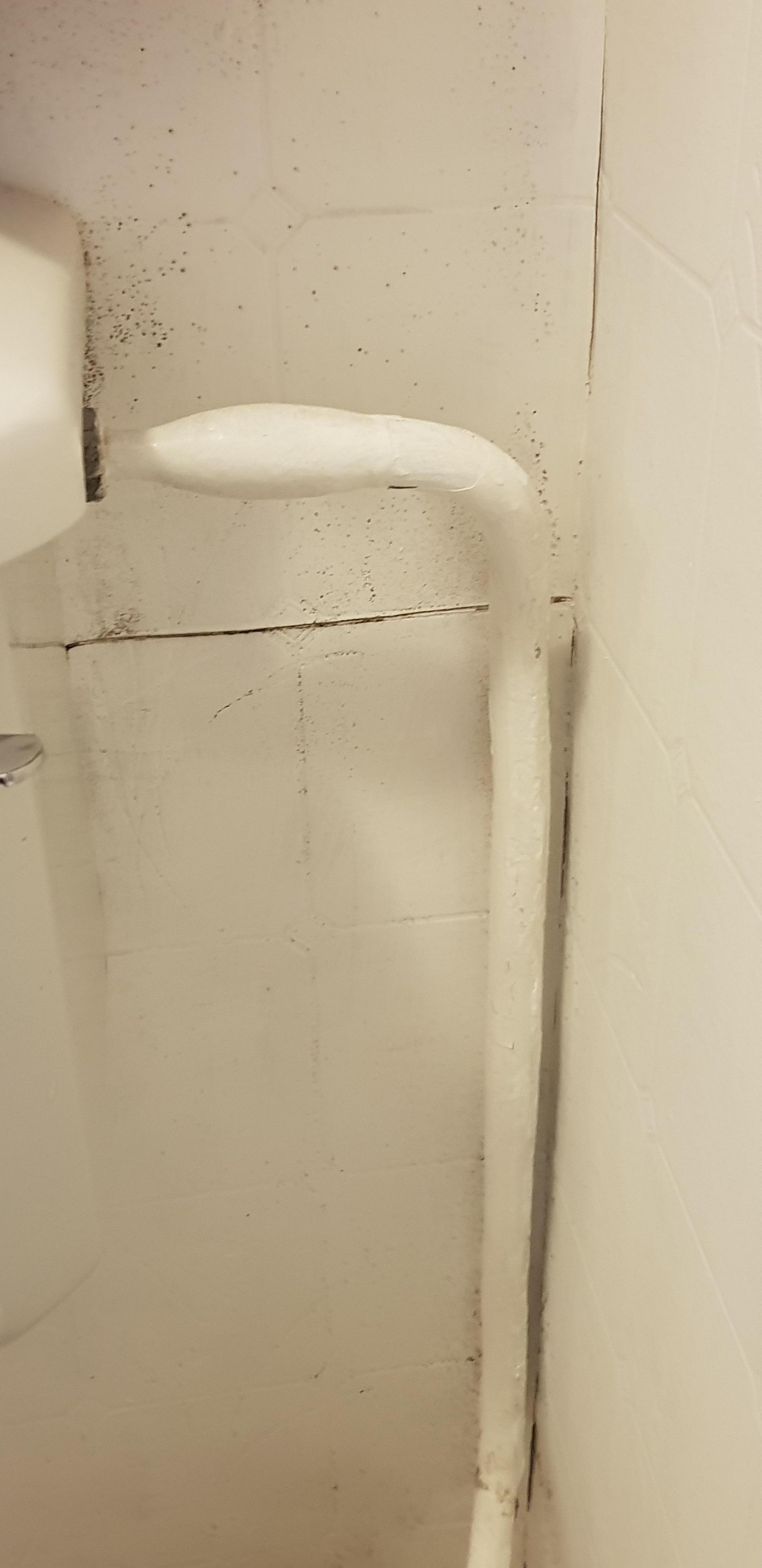 Plumbing clean as a public washroom.