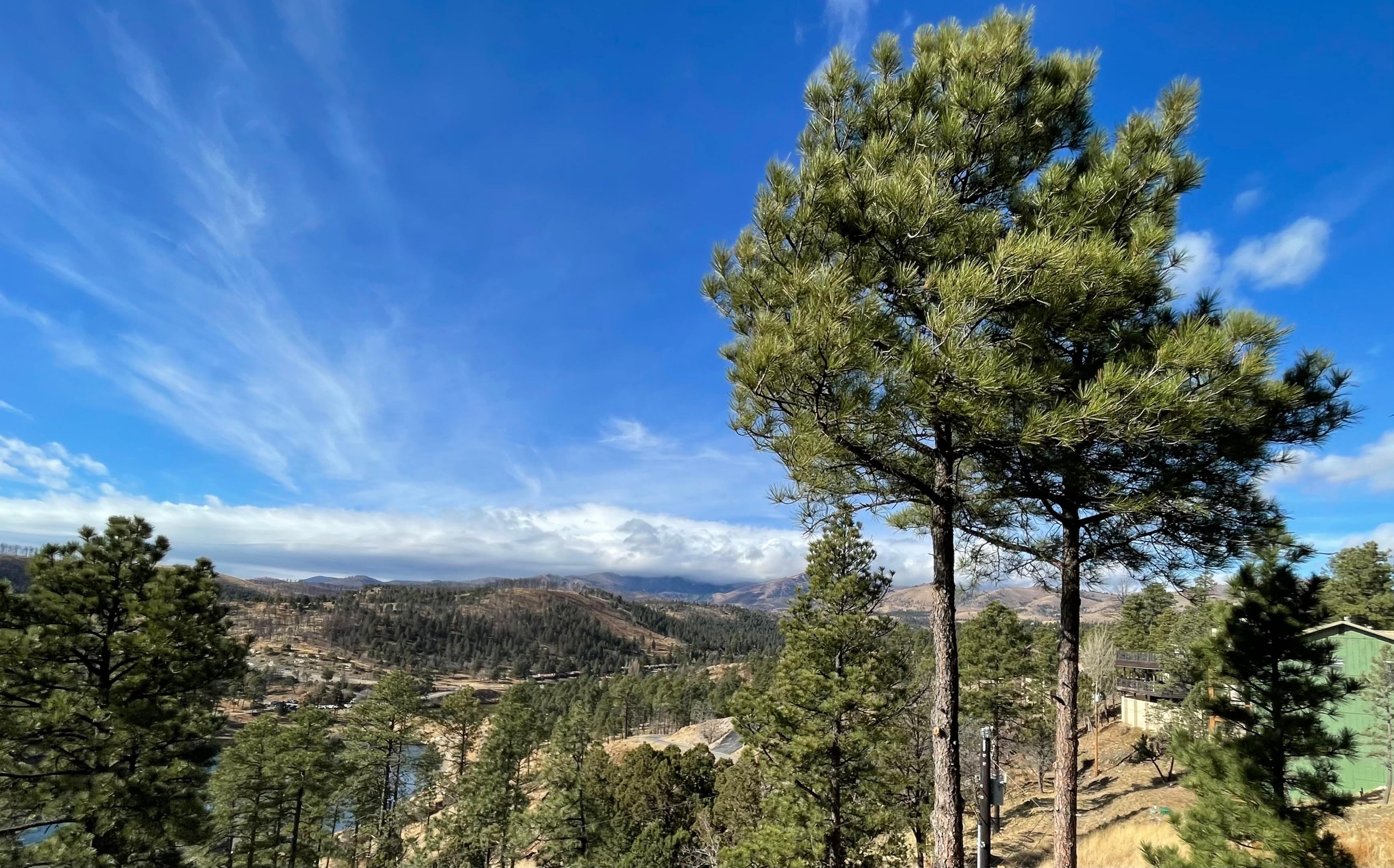 Daytime view from upstairs deck