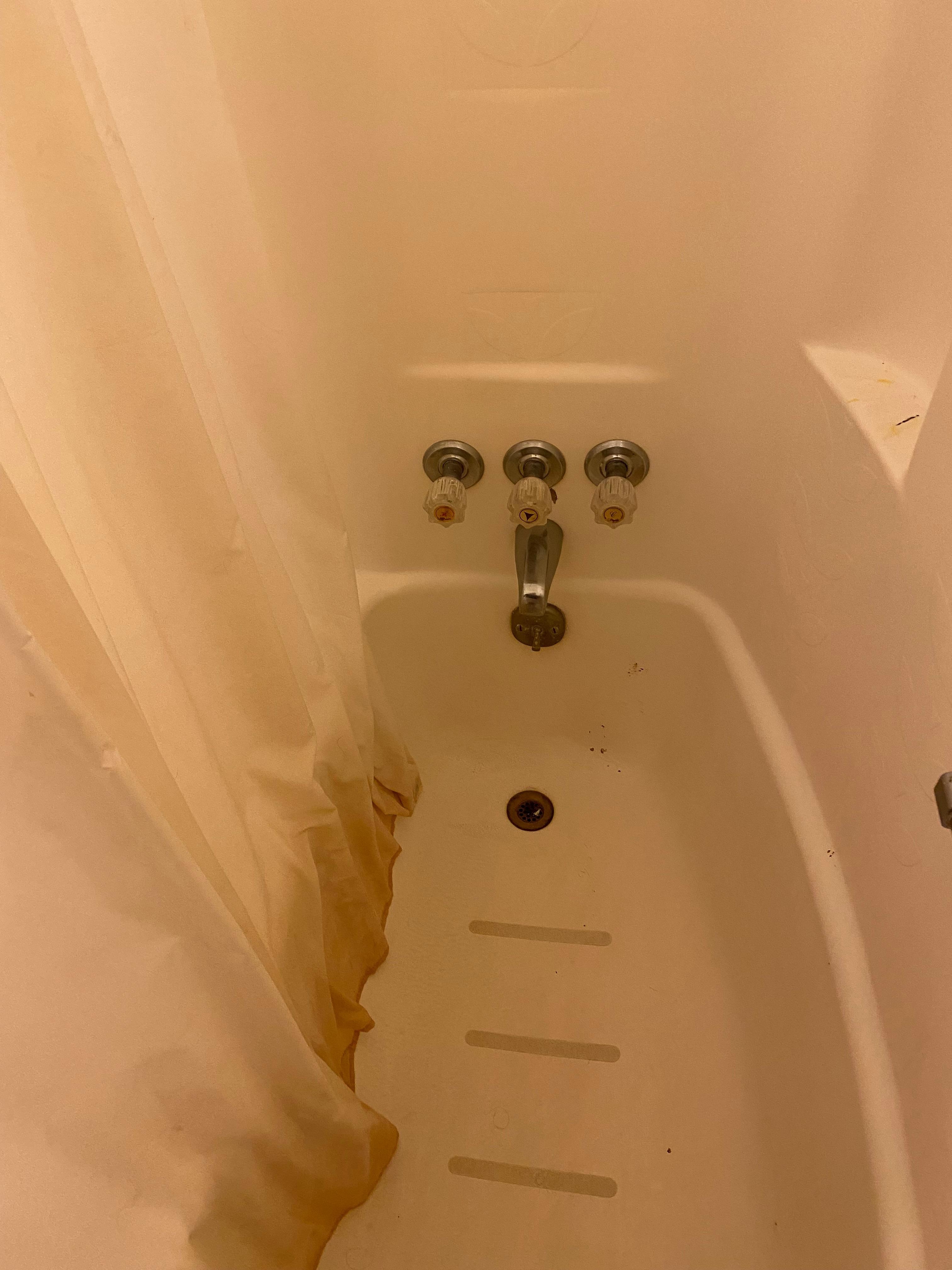 The shower/bath see the dirt at the bottom of the shower curtain. And the fixtures that were almost impossible to turn.  