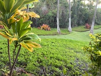 From bedroom window.