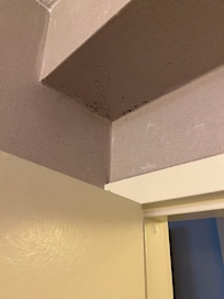 Mold spots in both corners of the bathroom above the doorframe