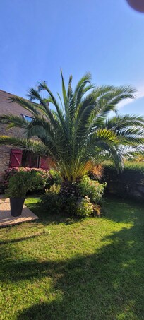 Der Garten