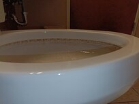 Clean toilet??