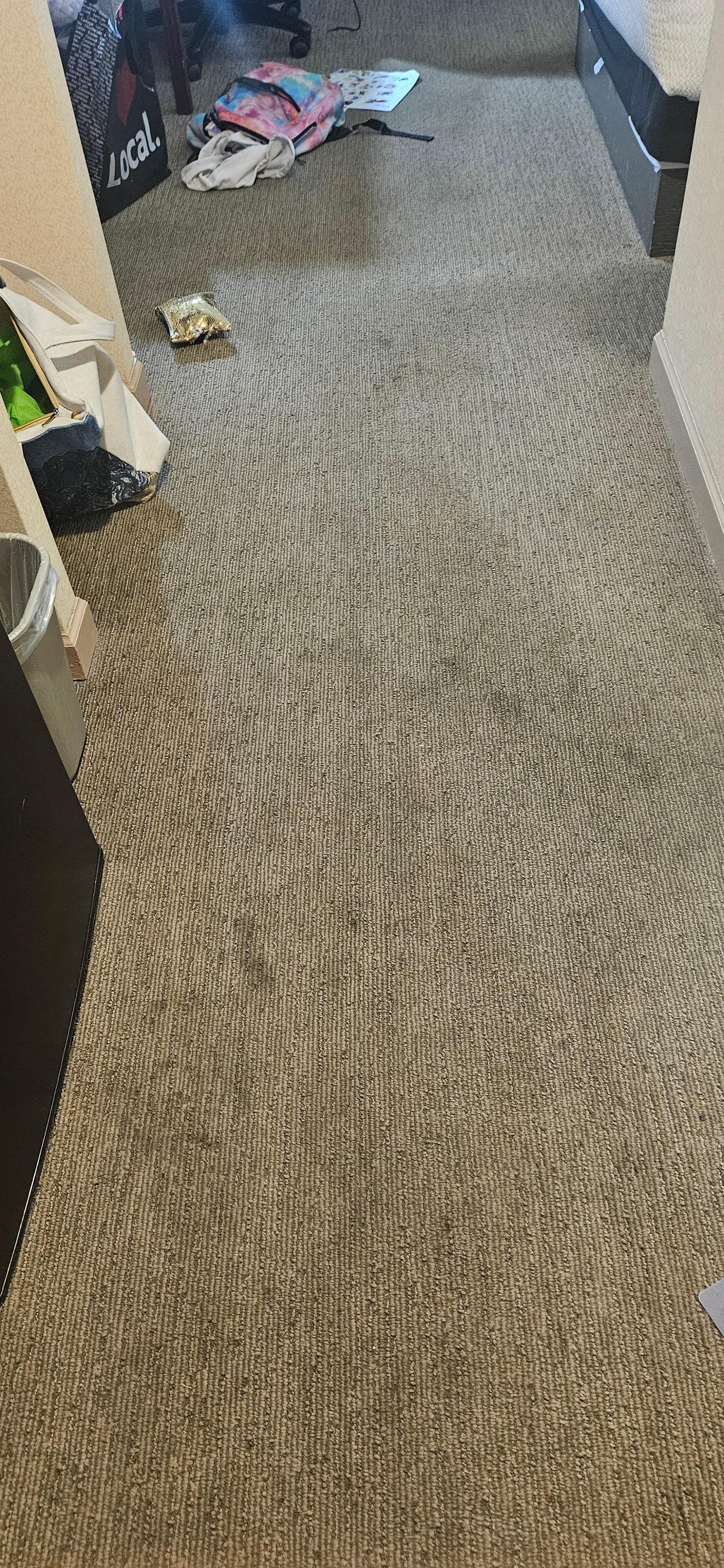 Rug is so disgusting,  hobby hasn't been cleaned in ten years