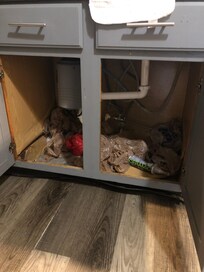 No words! Under the kitchen sink, so no trash bags and countertop cleaner.