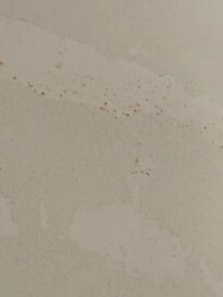 Rusty tub