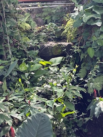 Outside back gardens