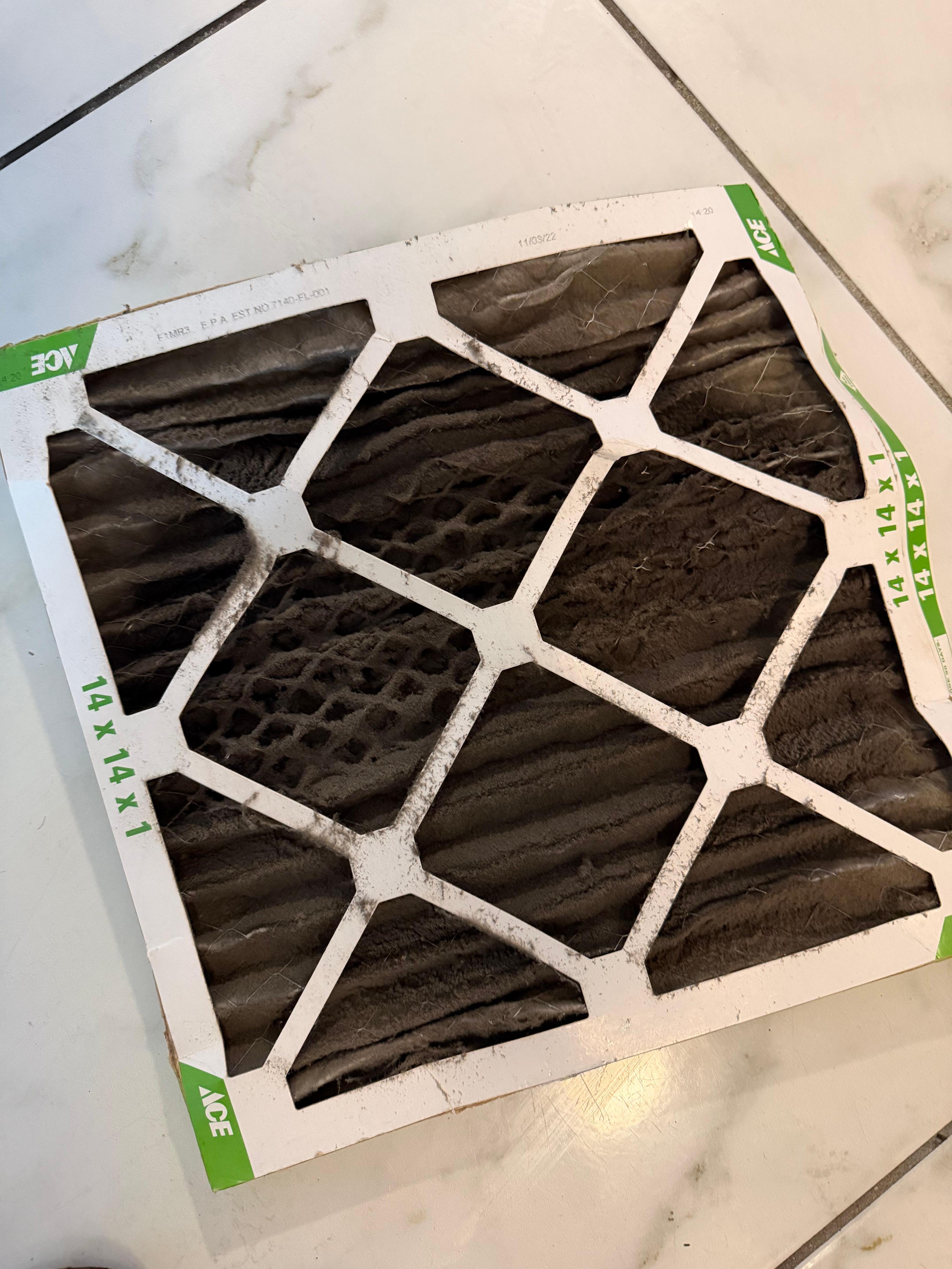 oldest filter in the world